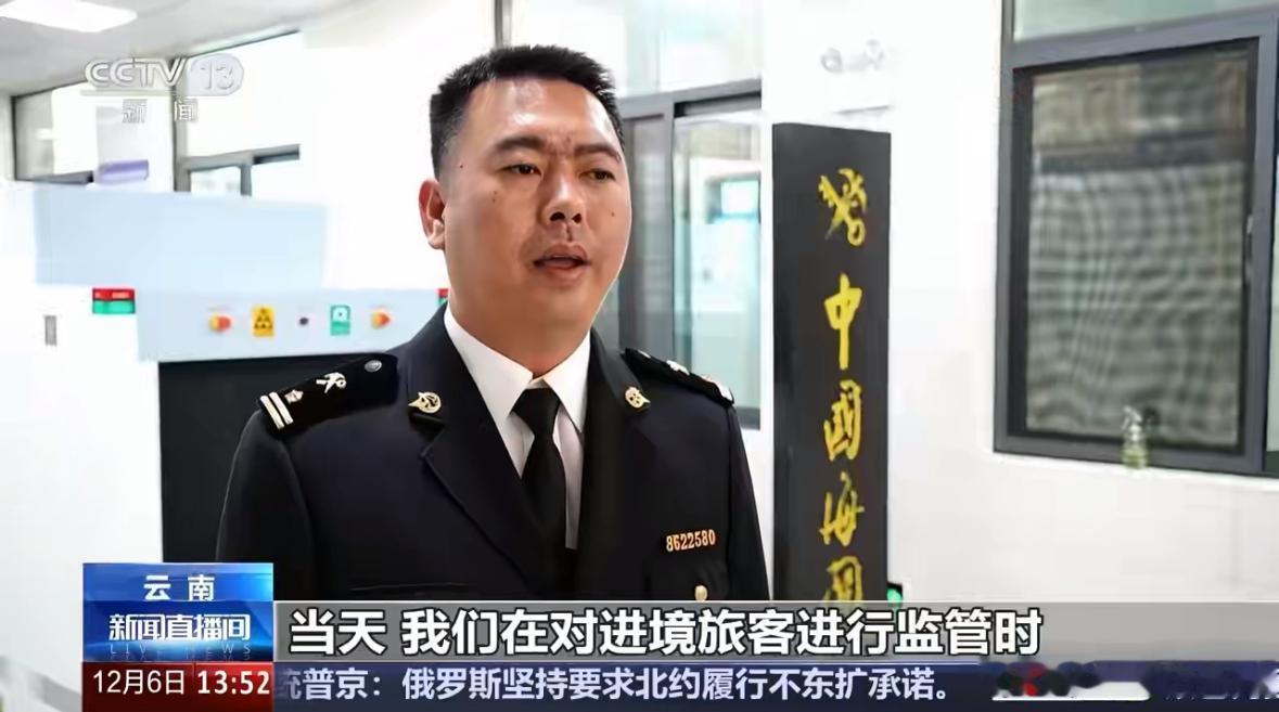 为赚差价竟用身体绑藏活虫入境，海关：一个都跑不了在云南省景洪市的勐龙旅检入境