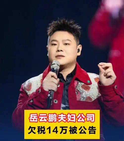 万万没想到，德云社的段子照进现实了！岳云鹏夫妇持股的公司被曝欠税14.1万，增值