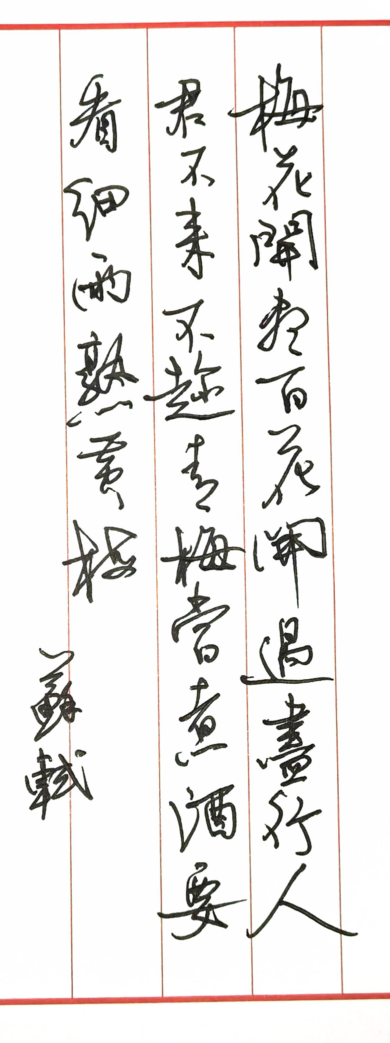 📜手写文字与原作解析这是一幅硬笔行书书法，书写的是北宋苏轼的七言绝句《赠岭