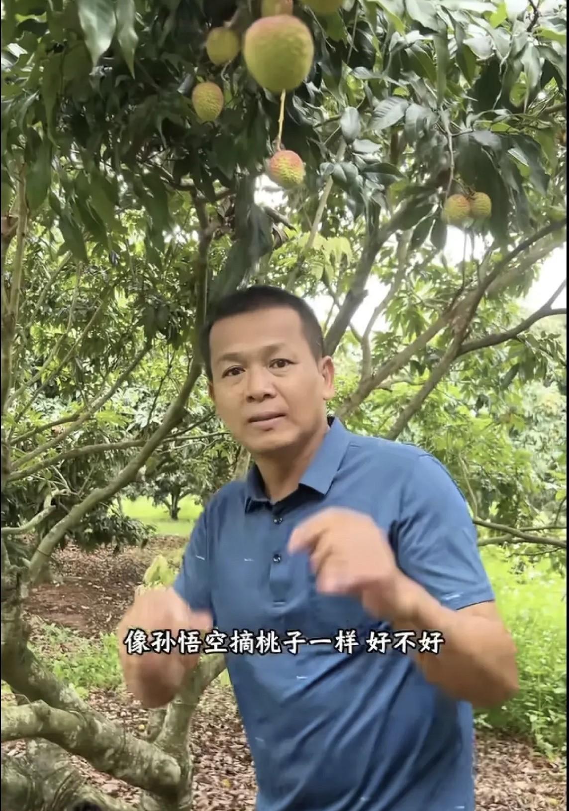 天呀！全红婵家果园受损严重，全文茂直呼：受不了了！14号“蝴蝶”太凶猛了，全文