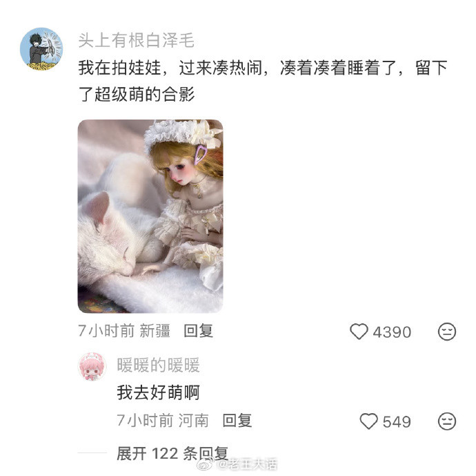 小猫经常忙来忙去，到底在忙什么呀