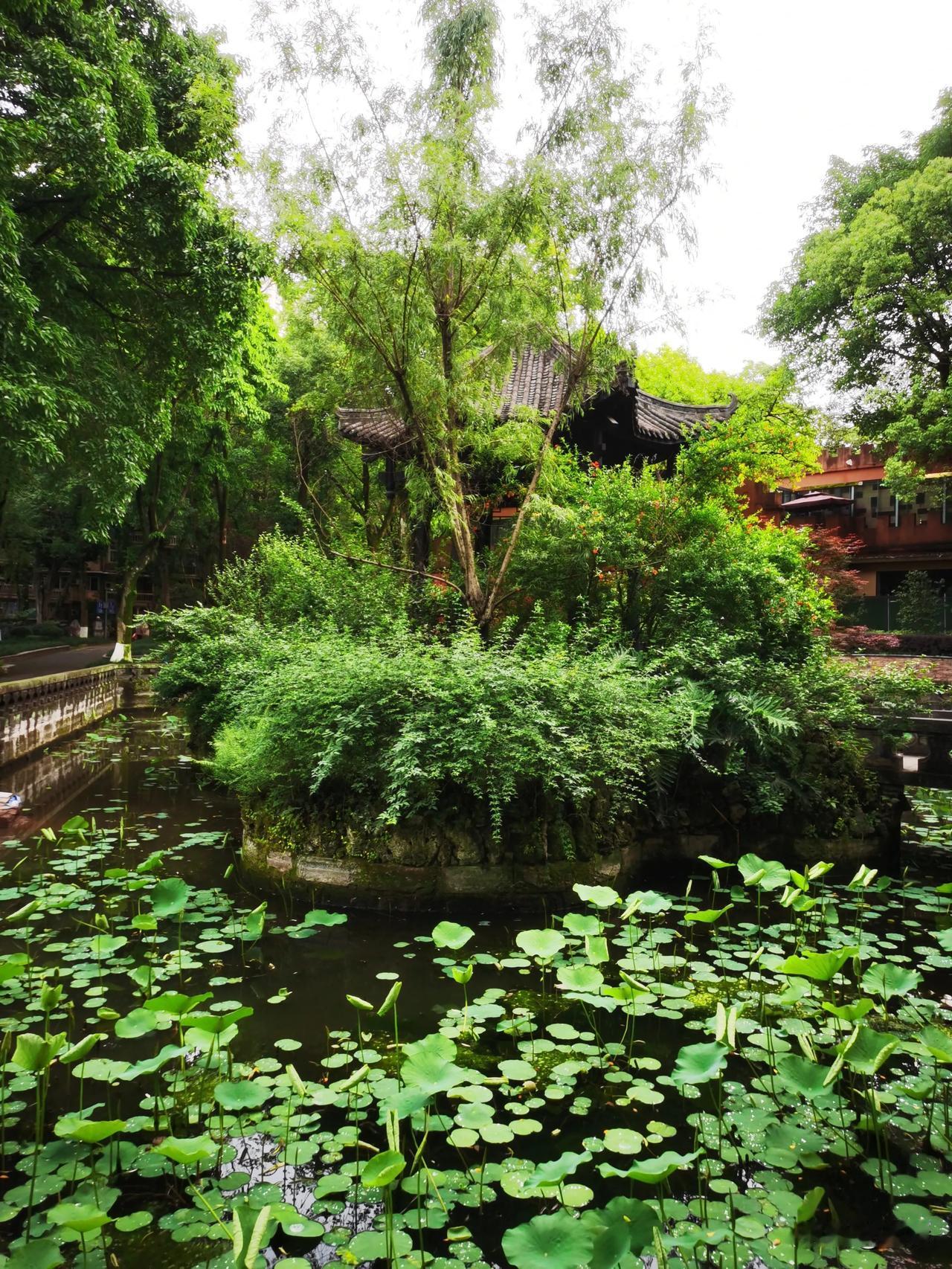 重庆沙坪公园初夏掠影重庆沙坪公园，作为这座城市最早的公园之一，将传统的园林布局