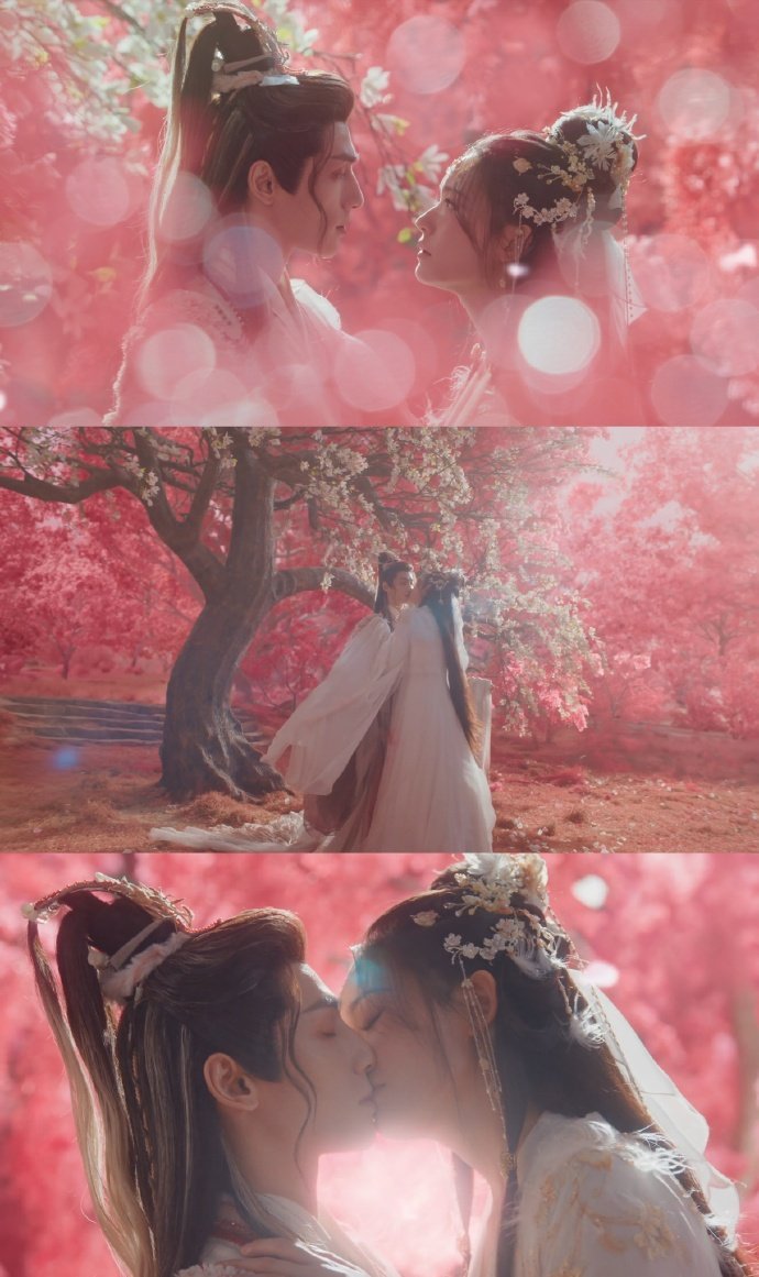 水龙吟花海吻是以血献祭花海灼灼衬血痕，林允献祭吻碰罗云熙心魔，唇间虐意漫溢，破