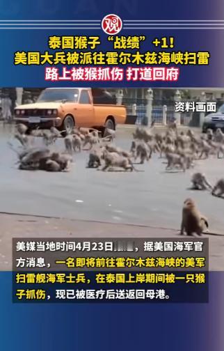 谁能想到，武装到牙齿的美国大兵没倒在中东的枪林弹雨里，反而栽在了东南亚街头的一只