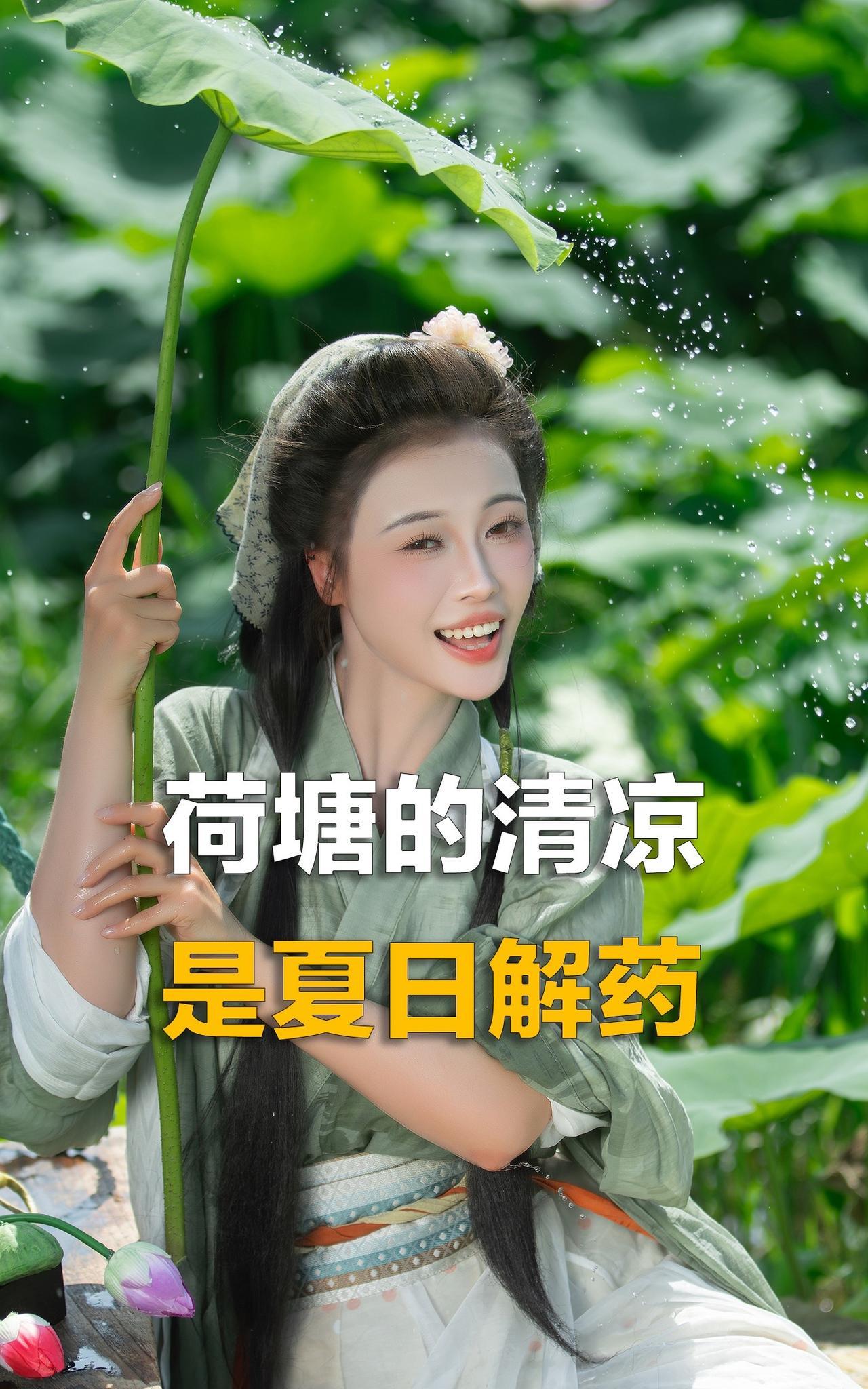 #抖音摄影美学大赏#荷花#国风古韵