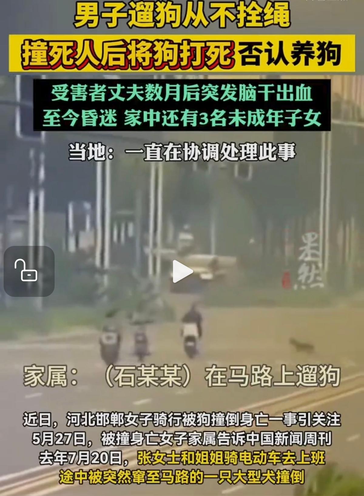 河北邯郸，2005年5月27日，女子和姐姐骑电动车去上班途中，被突然窜出一条大型