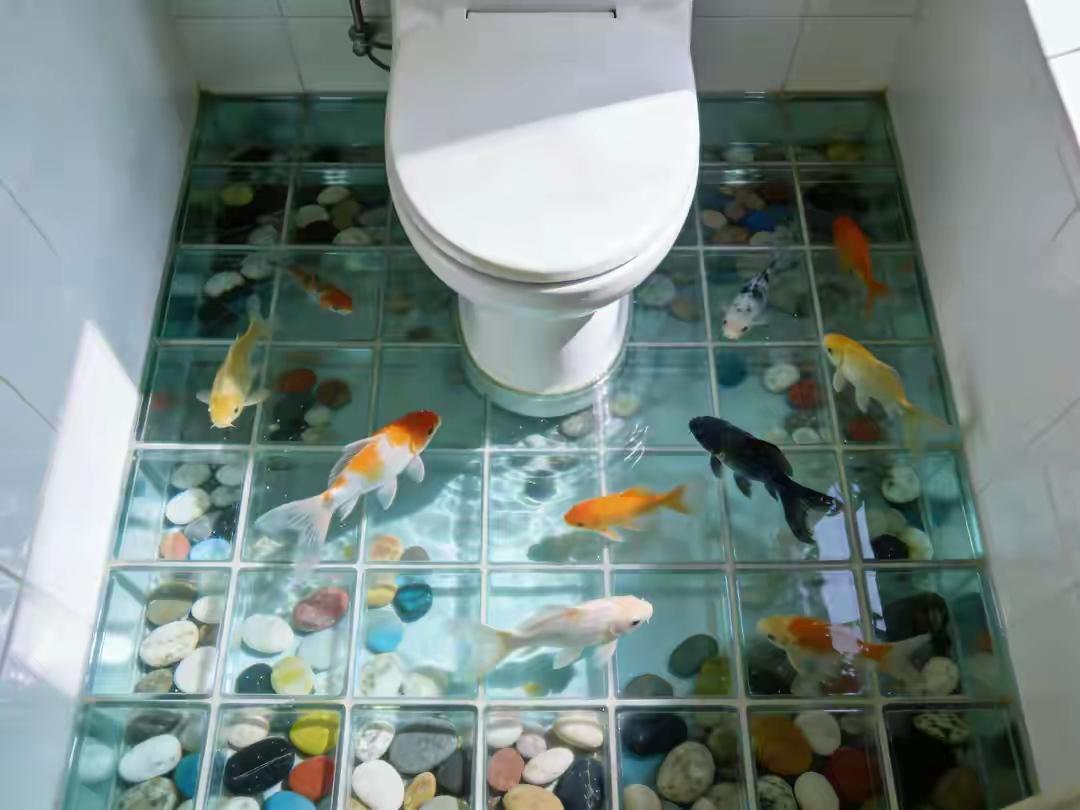 吓惨！20岁女生盆底肌老如60岁！就因如厕带手机，这些尴尬你有吗？你是不是也