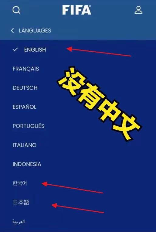 8种语言独缺中文！国际足联官网这波操作，直接把中国人的火气给点满了！别拿什么“系