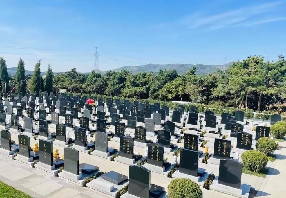 清明节，发现了一个怪现象：家庭越穷，越是没有几个人扫墓，甚至一个人都没有；