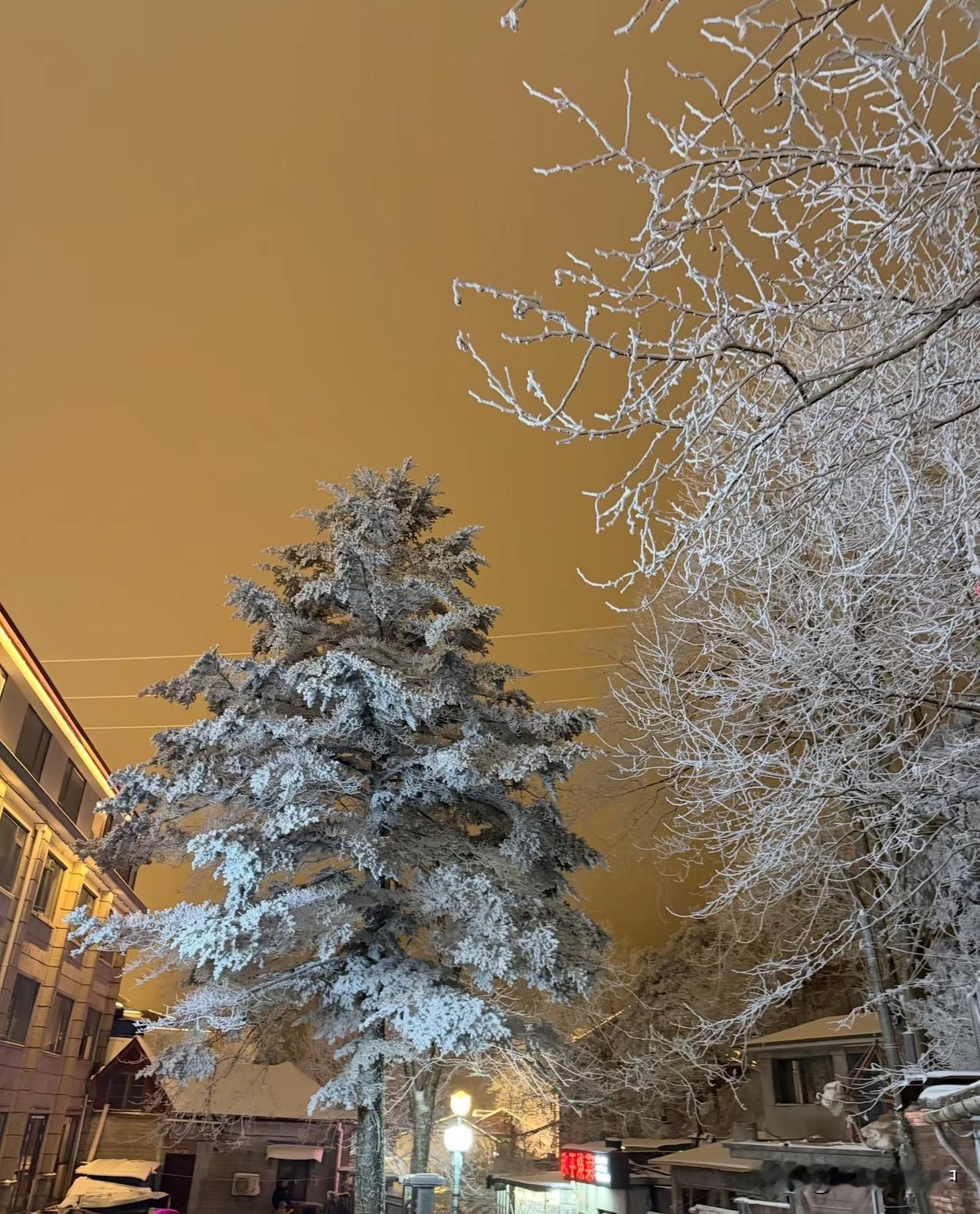 庐山跨年夜！跨年夜的庐山，被一场彻夜的大雪裹成了琉璃世界。我们兴冲冲揣着无人