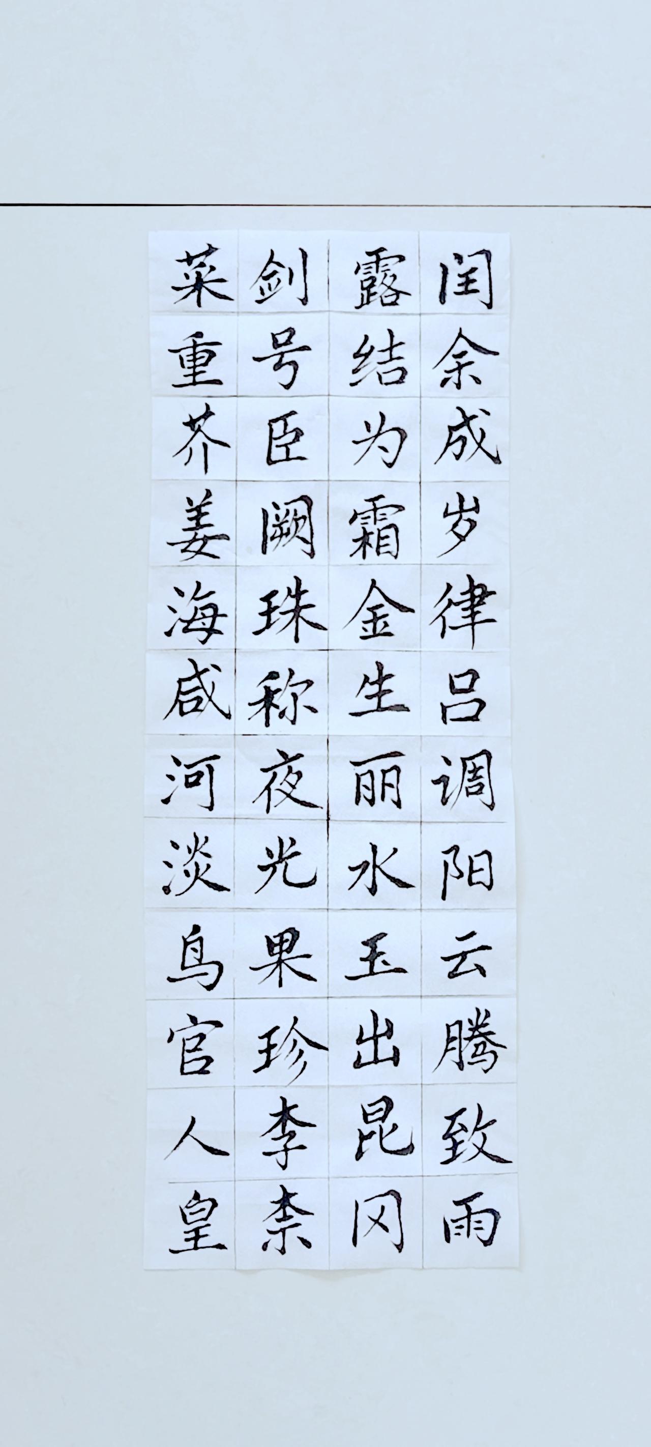第四十七天《千字文》（2）正楷毛笔练习！