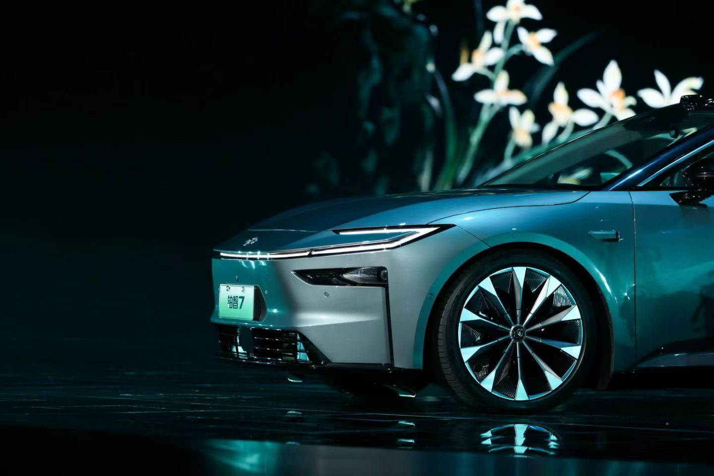 真的帅，价格又真的可以！