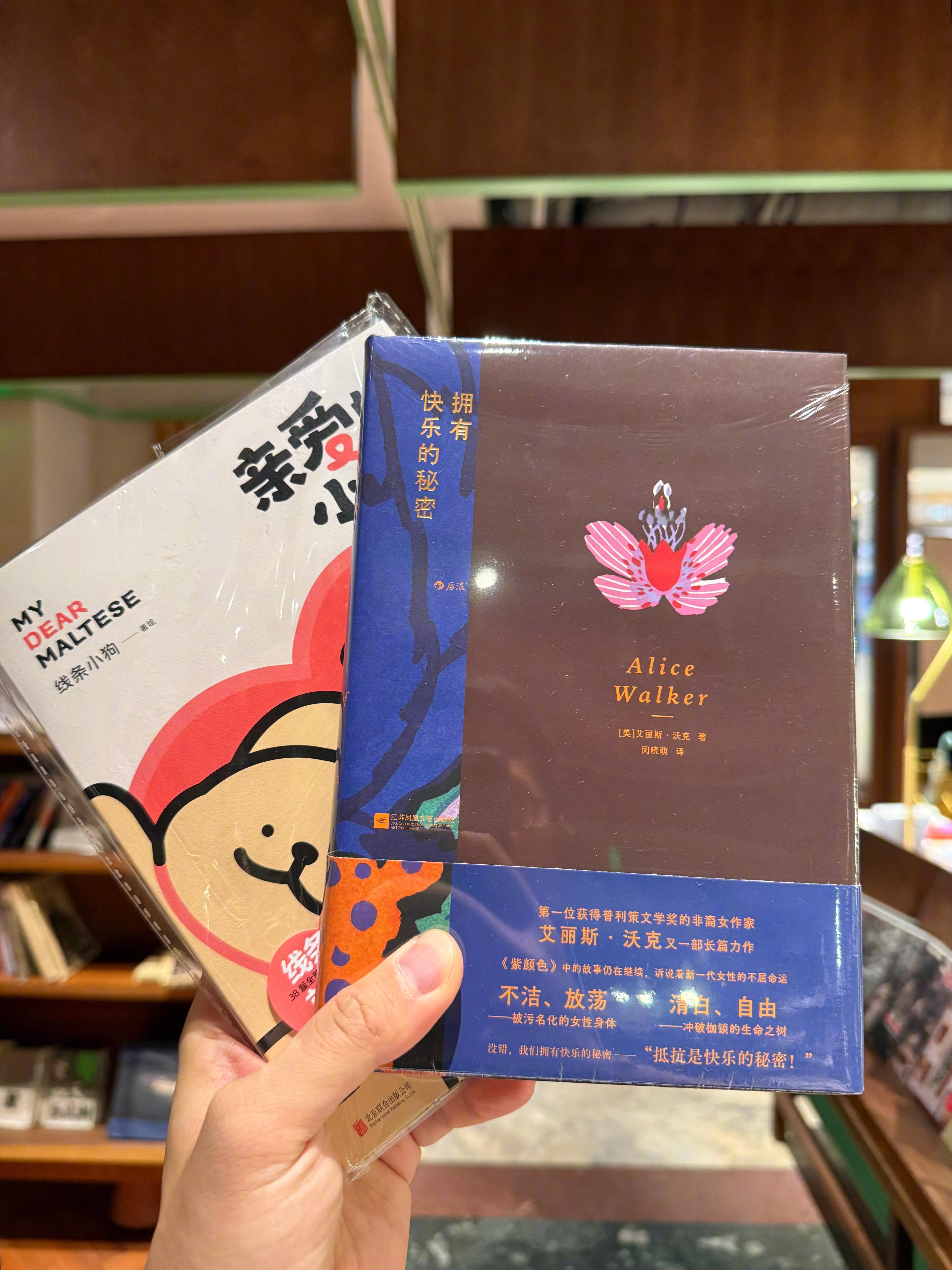来杭州看老同事，特意挑选了两本书相赠。一本是治愈系漫画，在这纷繁复杂、变幻莫测的