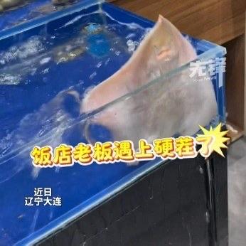辽宁大连的一家饭店最近出了个“明星员工”，不过这小家伙干的事可让老板哭笑不得。店