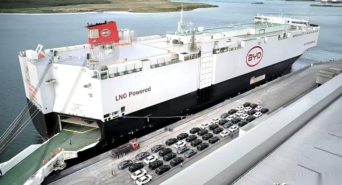 刚看到个数字，吓我一跳。特斯拉那个德州超级工厂，够大了吧？比亚迪在郑州的厂子，