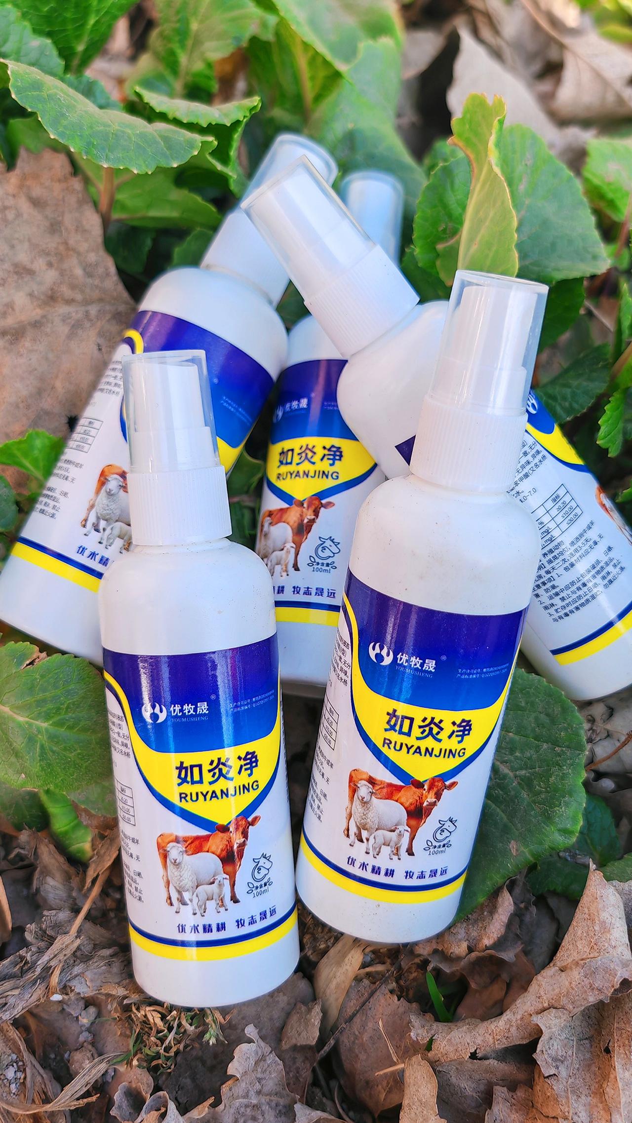 养羊人农村养羊牛羊养殖养殖人加油