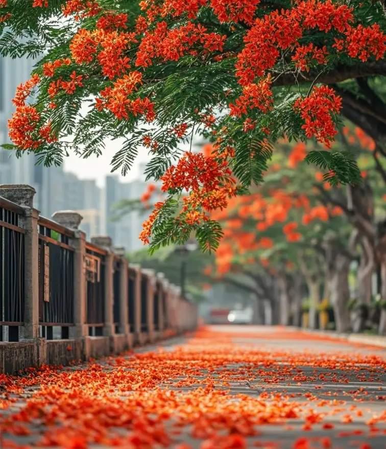 人生如戏，风云变幻，世事难料。有人说：“一个人如果没空，那是因为他不想有空；一个