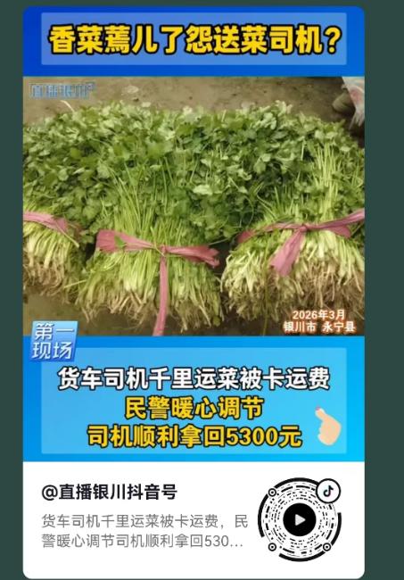 宁夏银川，司机运了一车的香菜，送到货主那里，却因为香菜有些蔫了，货主不但不支付4