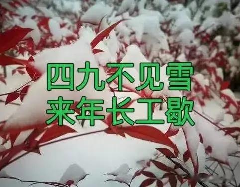 老话“四九不见雪, 来年长工歇”, 是啥意思? 有什么不好的预兆?