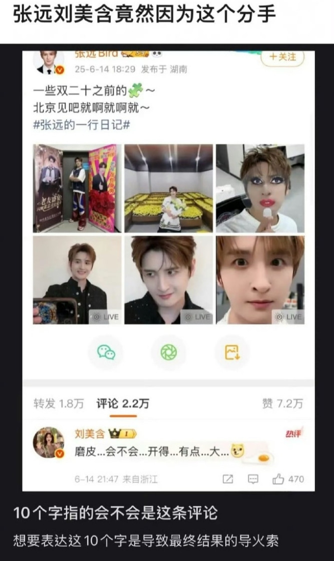 刘美含和张远分手的原因有点子离谱