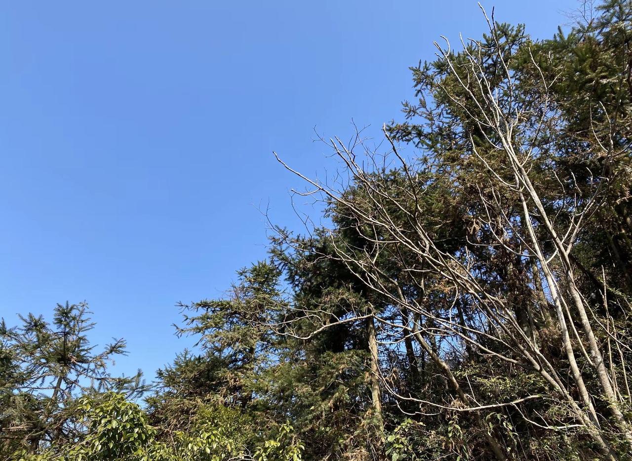 南风坳上云冰山徒步路线。山上风景大自然的美景美丽的大自然风光