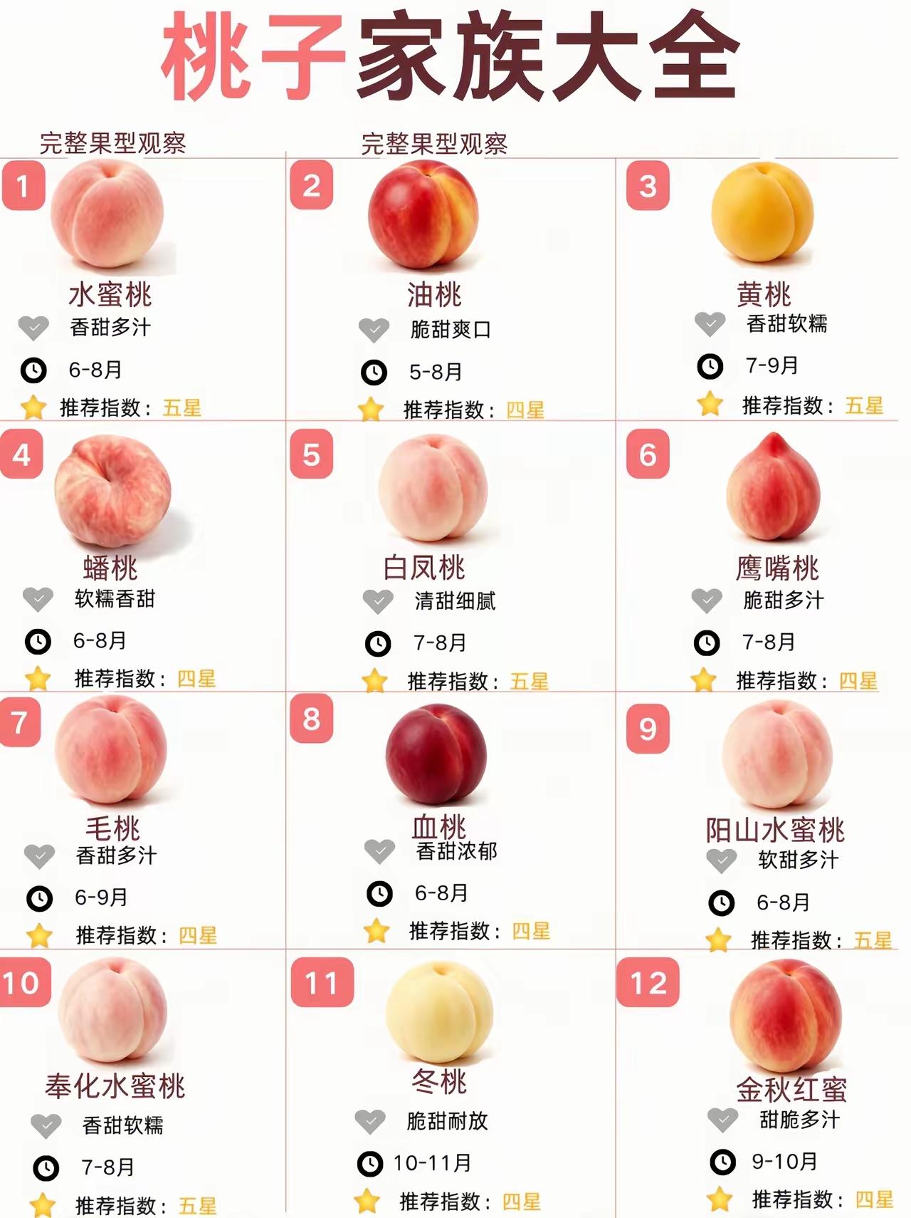 桃子