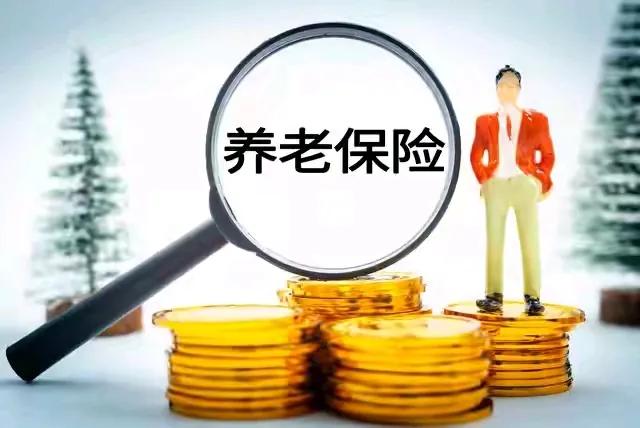 昨天表弟在手机上给大姑一次性补缴了城乡居民养老保险，合计缴费90000多，说等补