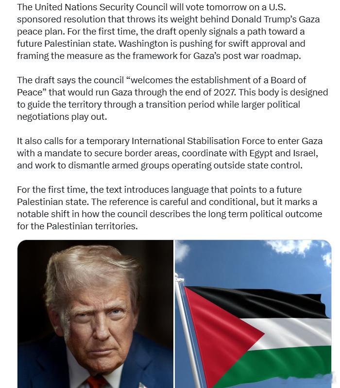 联合国安理会将于明天就一项由美国发起的决议草案进行投票，该草案枝持唐纳德·特朗普