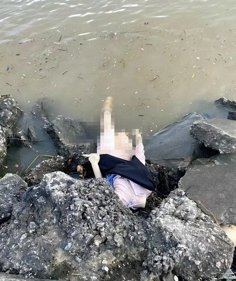 钓鱼钓到这个我也是服了，还以为是大鱼！