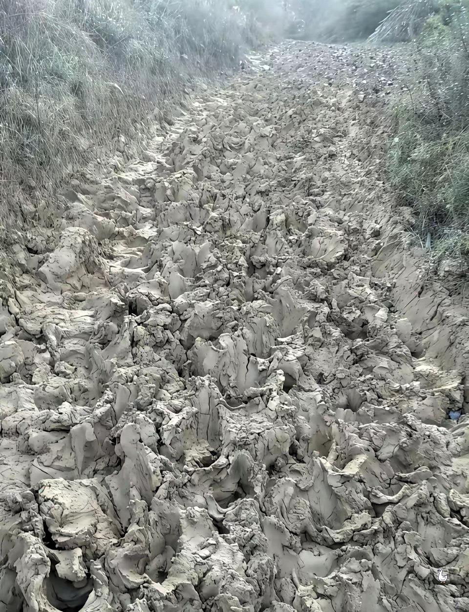 走过这路的人都已经60多岁了