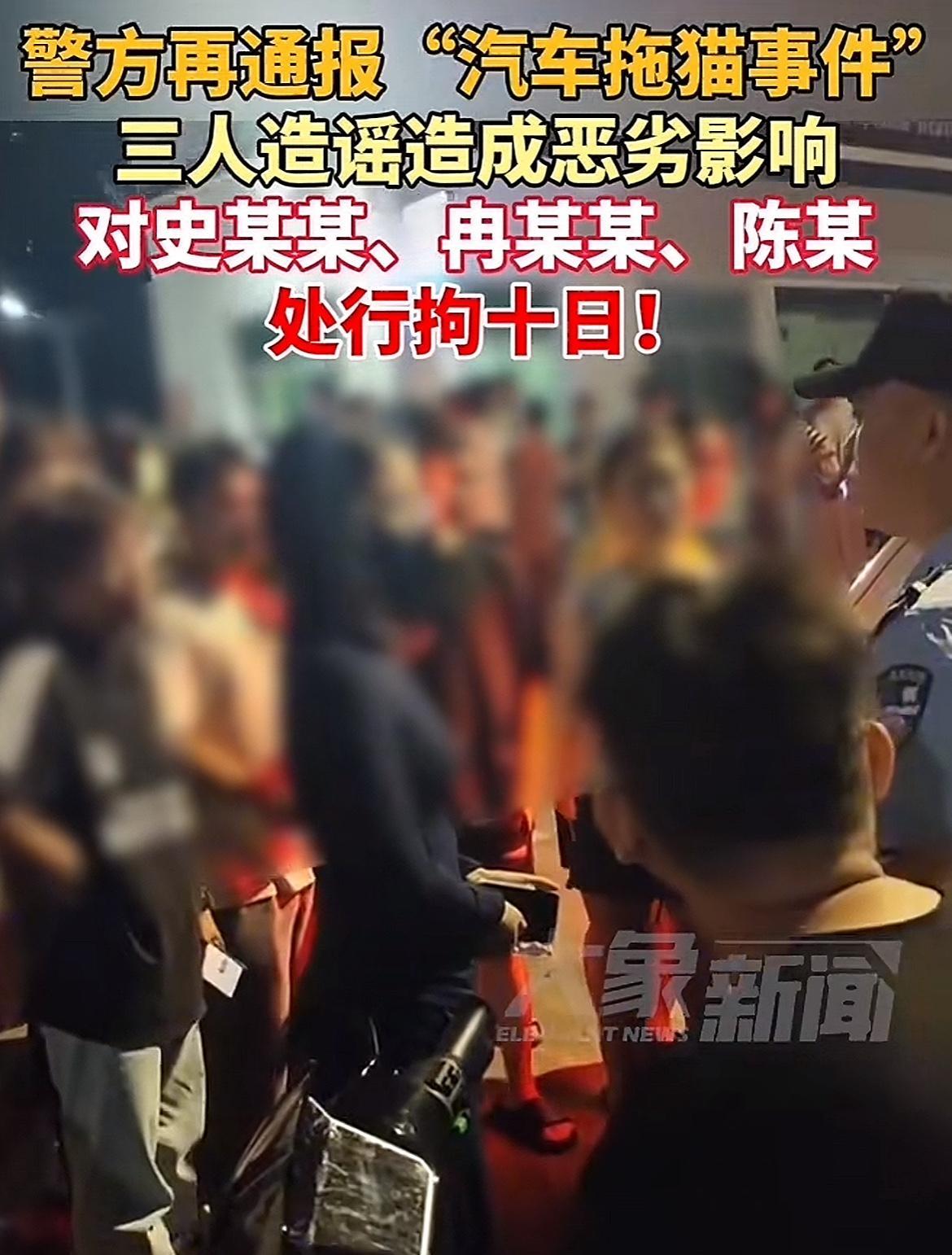 干得漂亮，就应该严厉打击这类人，在事情还没弄清楚之前，打着爱猫的口号，就随意网暴