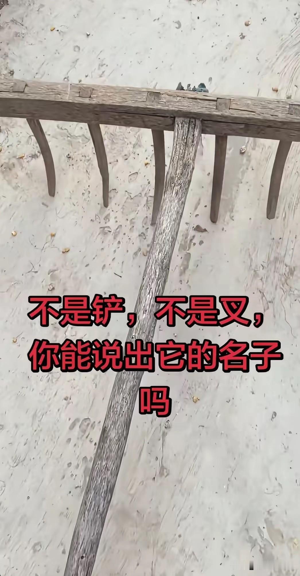 这个农具，我小时候还真见过。