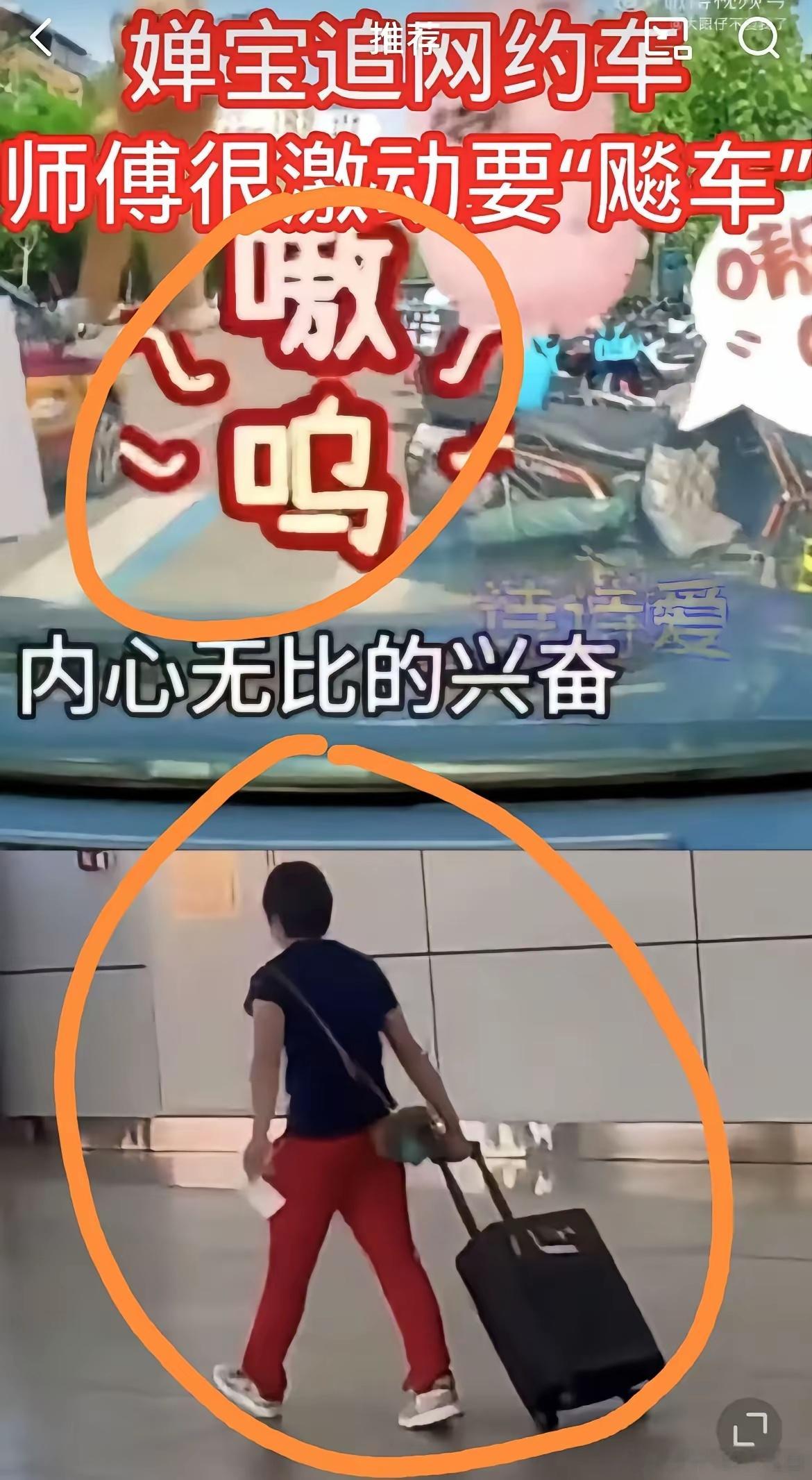 全红婵“摊上事了”！回家一趟，屁股还没坐热，就把大熊猫“国宝”的名号给抢走了，这