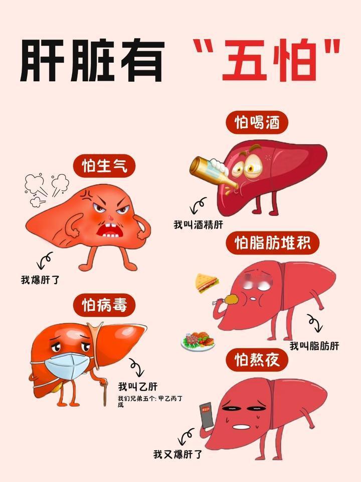 肝脏的5大“天敌”别碰！1、长期酗酒伤肝最直接2、长期熬夜伤肝血3