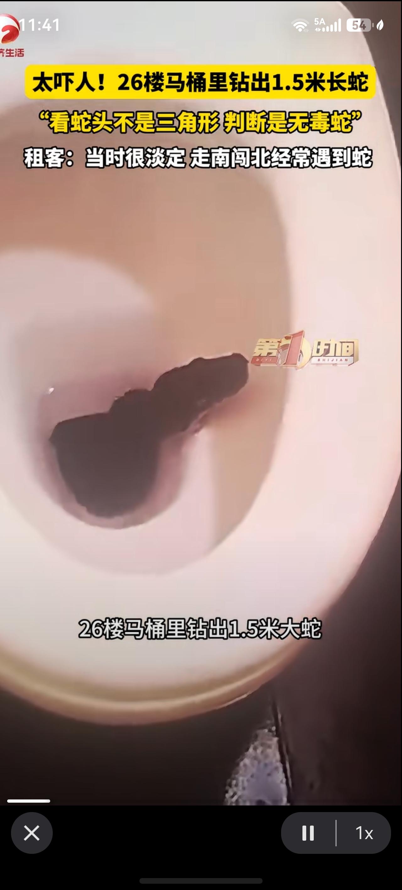 太吓人！26楼马桶里钻出1.5米长蛇。租客：当时很淡定，走南闯北经常遇到蛇。​