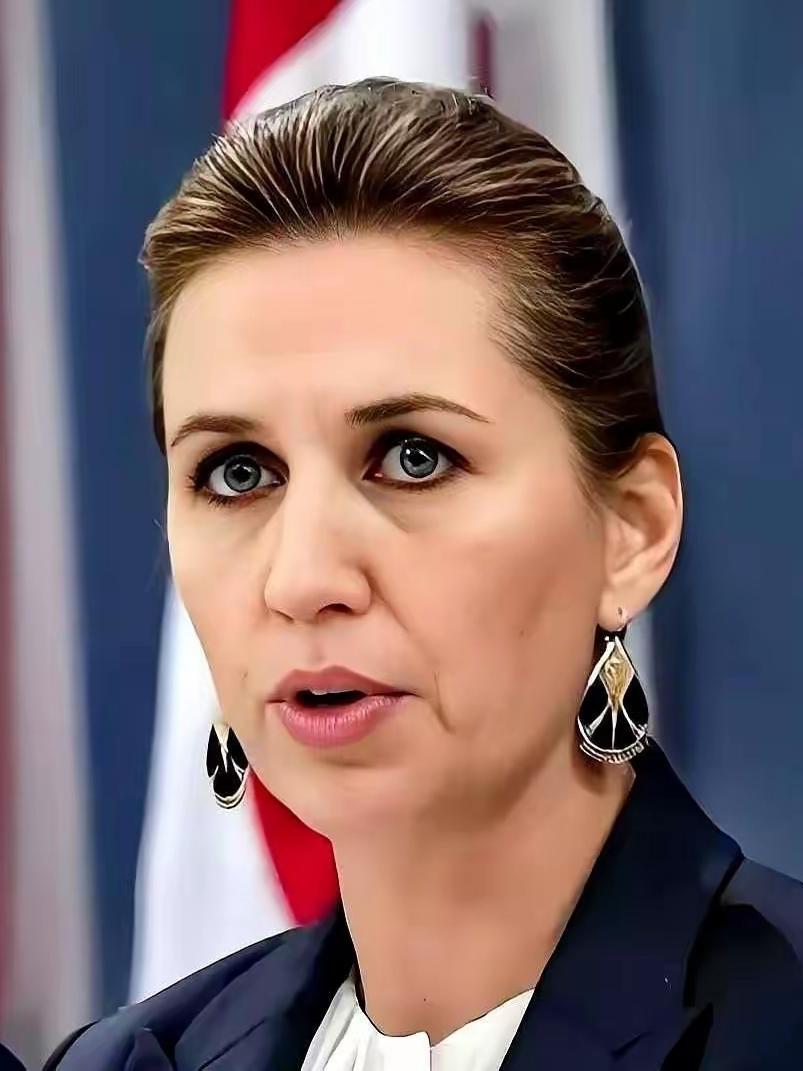 螳臂当车！欧洲多国派兵丹麦格陵兰岛，却被意大利防长笑话了，来看看这是怎么回事？