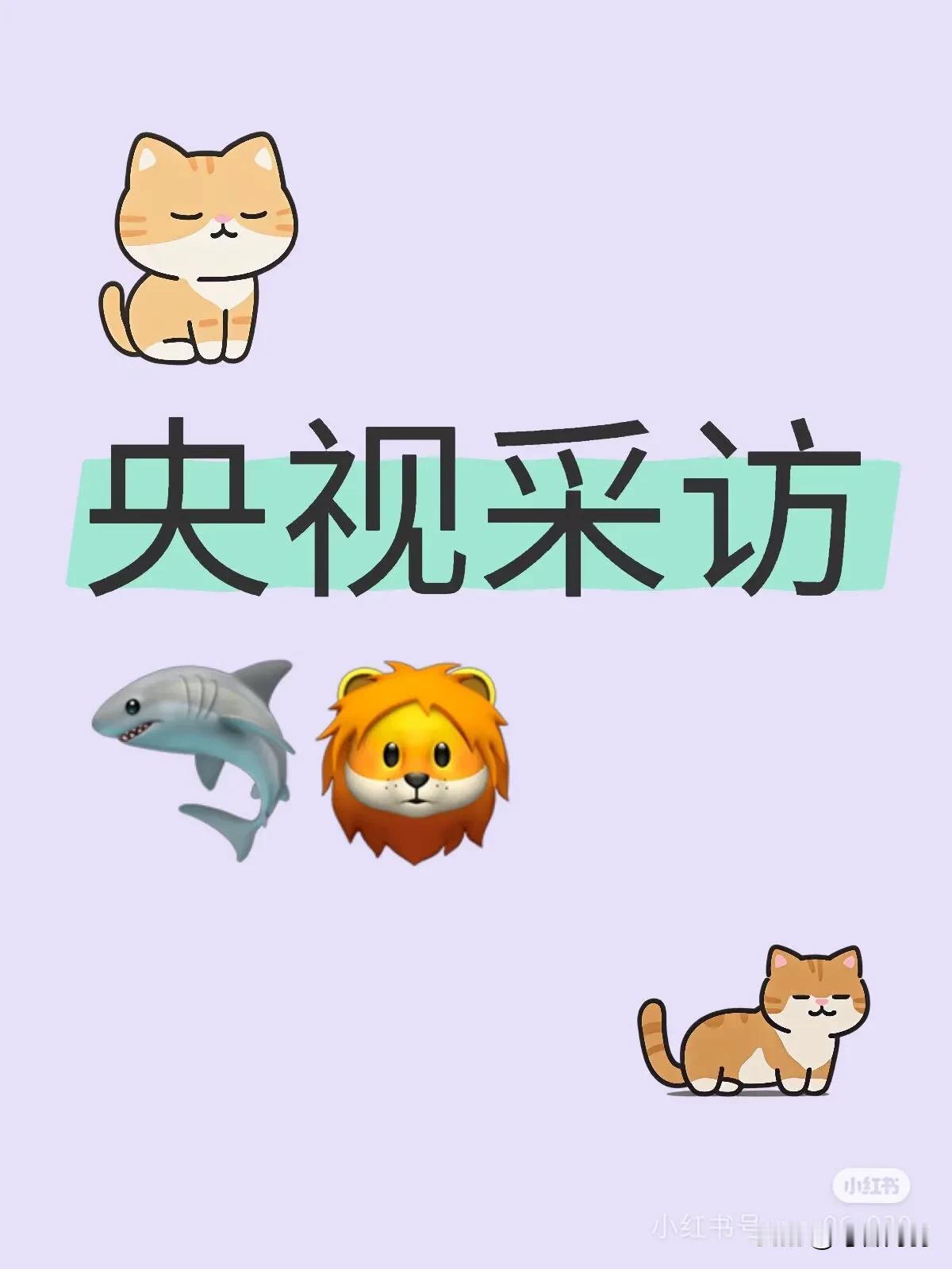 央视专访给人感觉，以前的事应该是不会再查了！成年人的处事方式是看破不说破！当