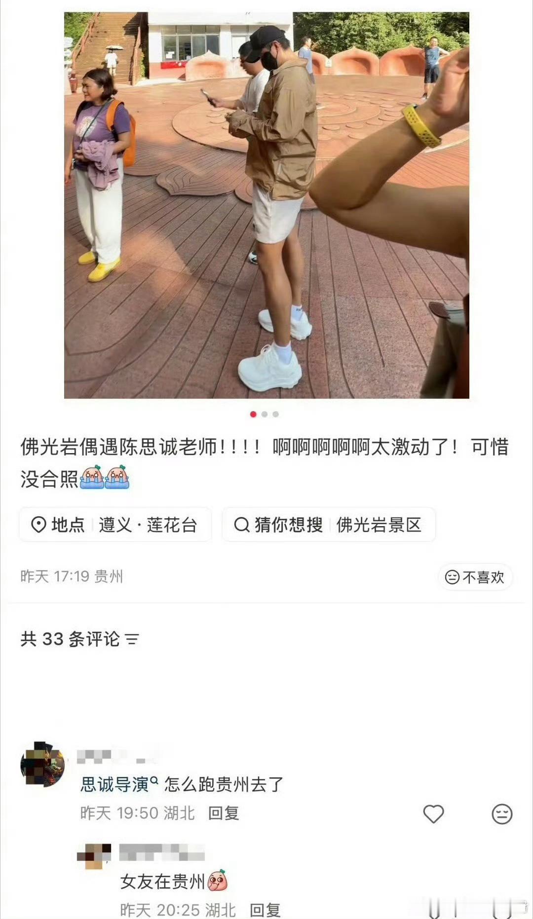 陈思诚王宝强糖对了人错了花木很美