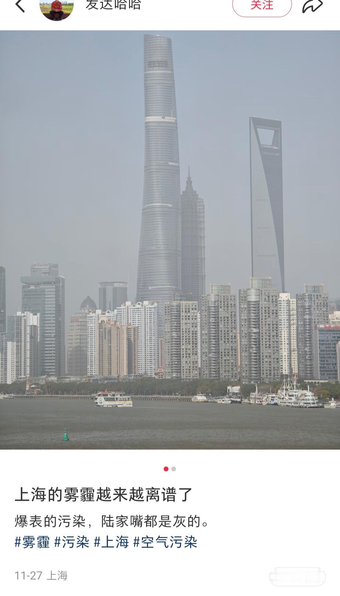 去上海还是东京？求助网友帮个忙。我们原计划下周去上海，欣赏今年最后的梧桐老马