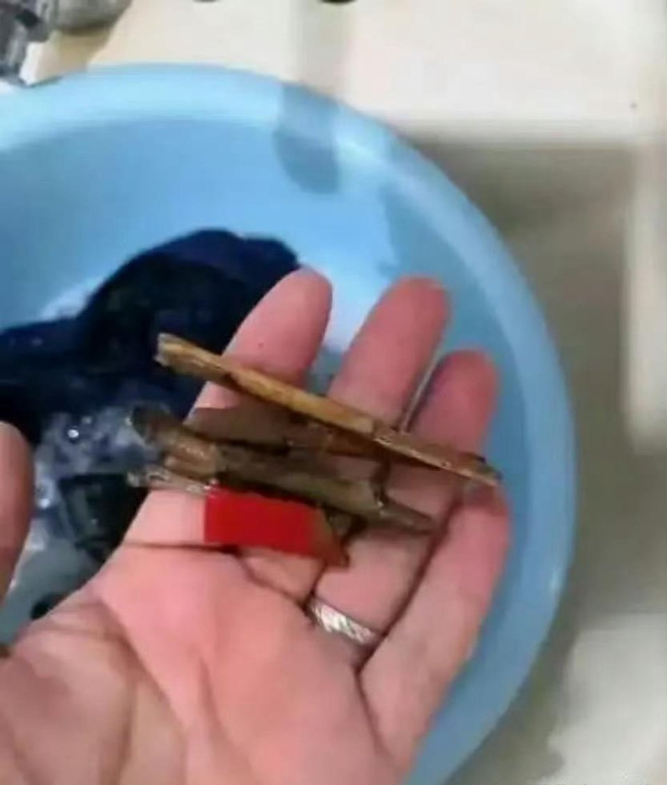洗衣服裤兜里发现的要不要直接扔掉