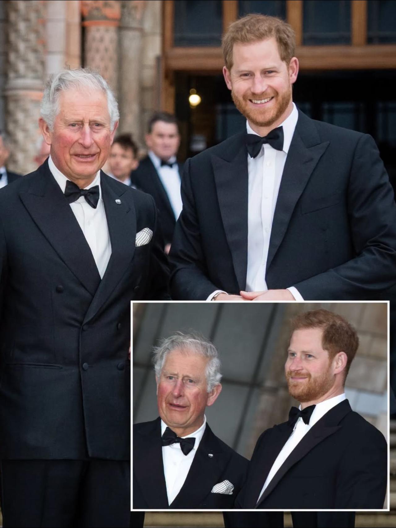 哈里夹在爹和舅中间，回英国简直是走钢丝查尔斯想抱哈里王子，小舅子却在背后捅刀：