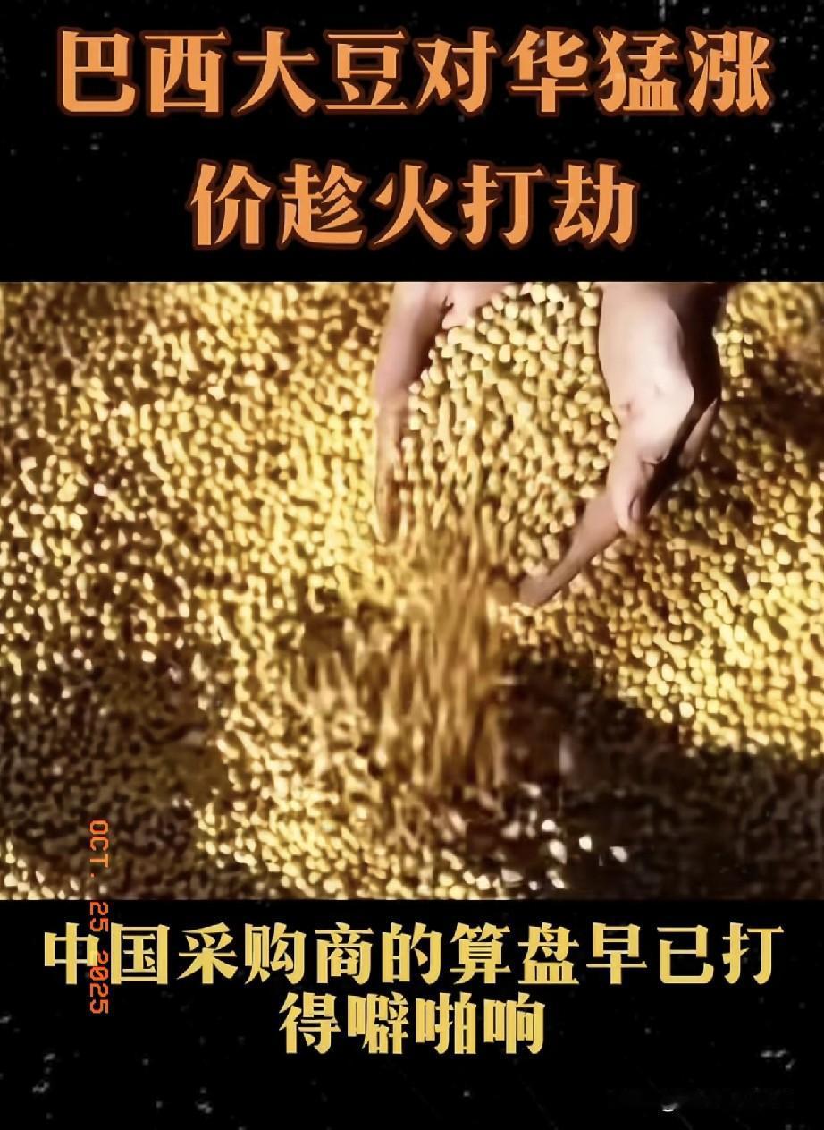 可所谓煮熟的鸭子飞了中国果然不是善茬，巴西那边看准了我70%+的大豆进口