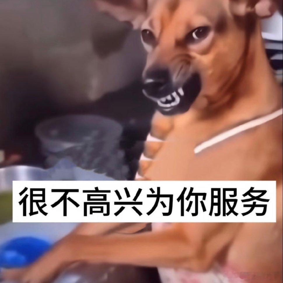搞笑表情包分享！