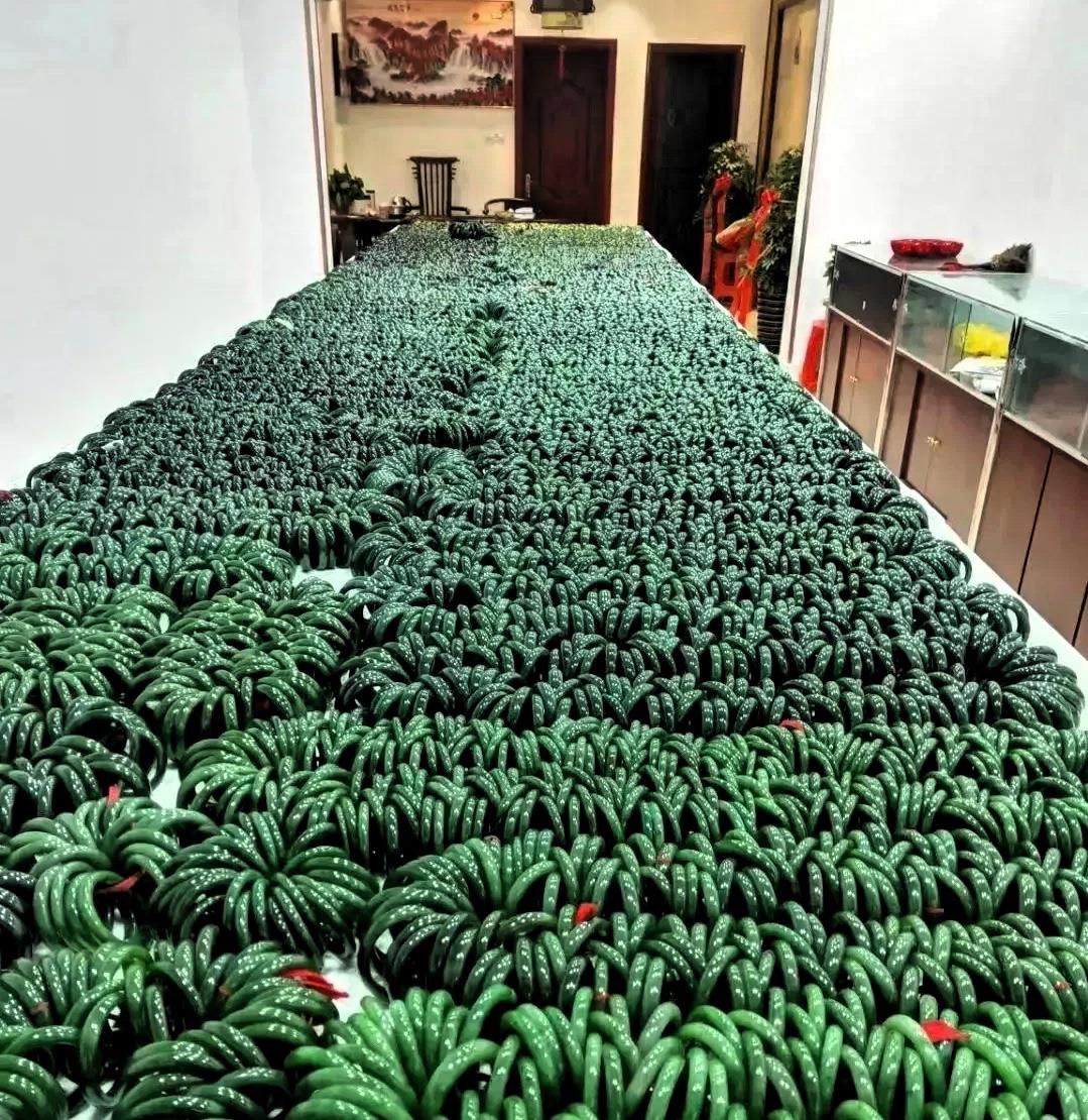 你以为过剩的只有房子？