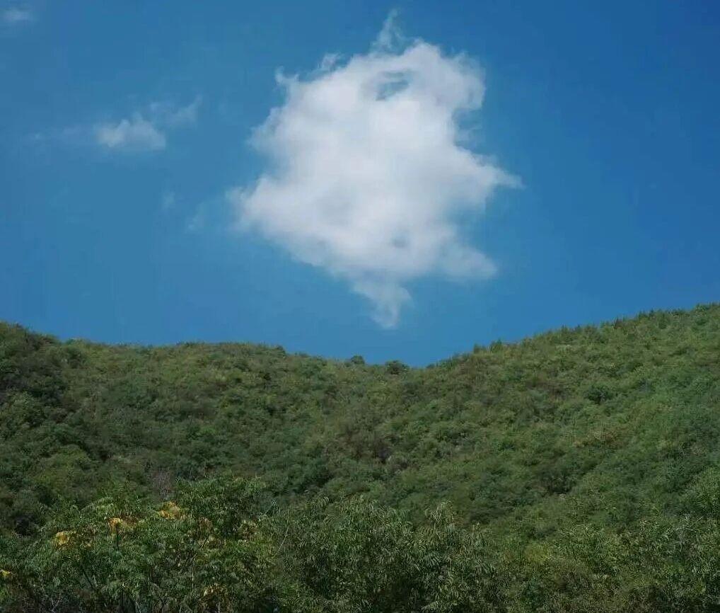 原来许家印还是武汉科技大学博士生导师！太厉害👍可是，我很纳闷儿他教学生什么