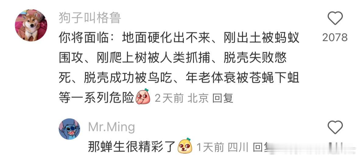 下辈子我也要当一只蝉[doge]​​​