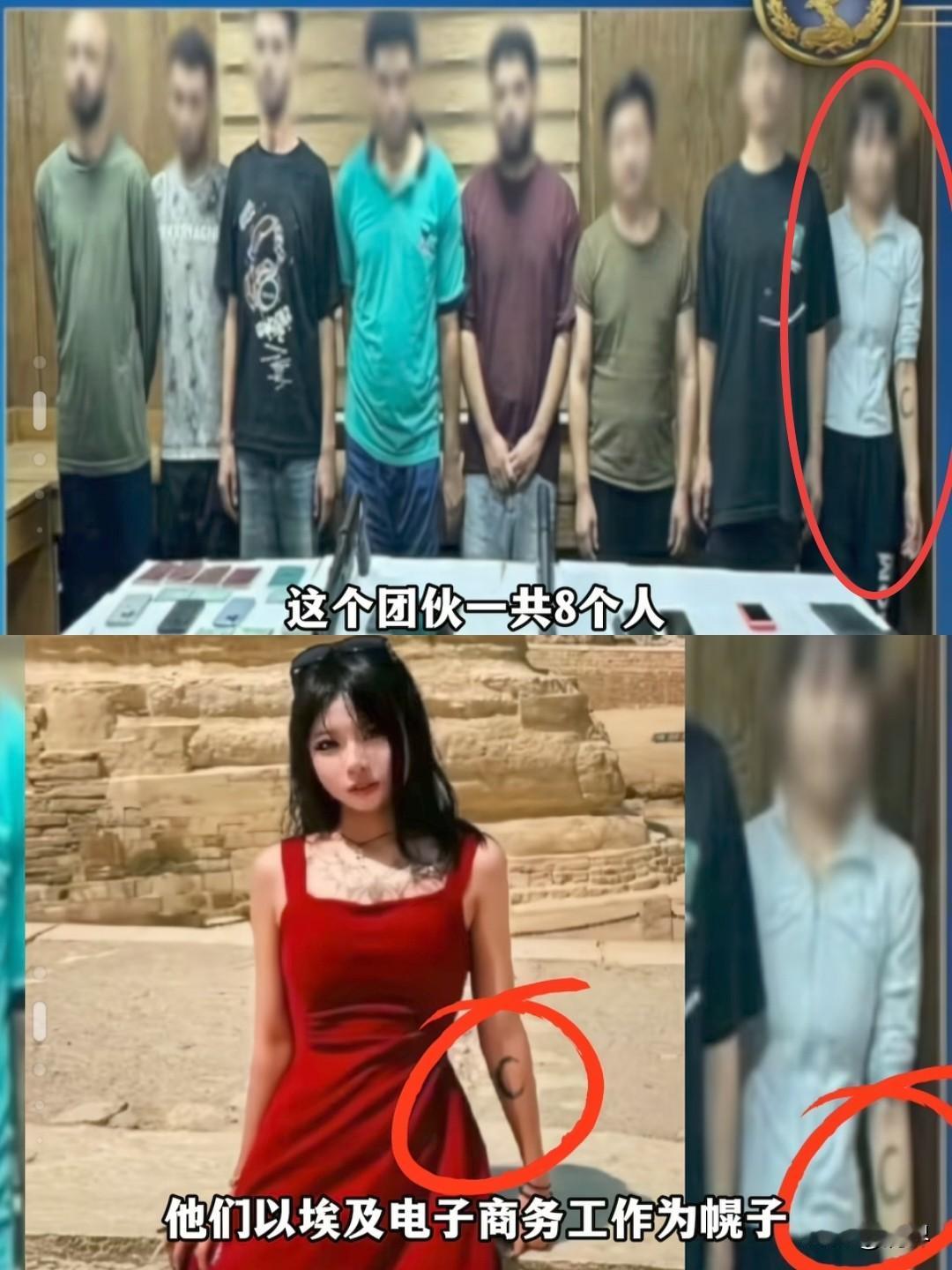 实在难以相信，8人的诈骗团伙里面，就她1个女性！看着如此娇小可爱、人畜无害，实在