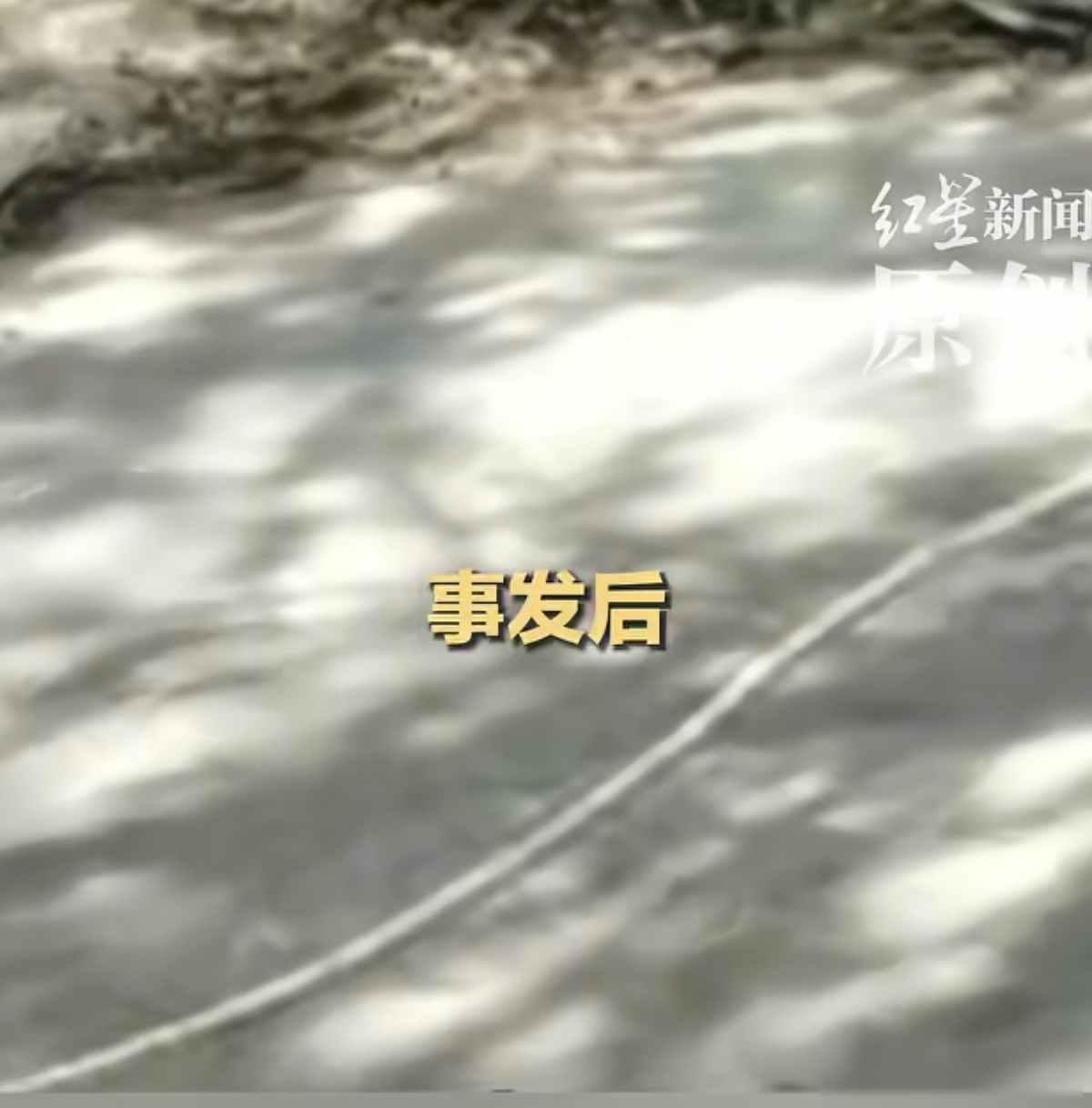 事情终于有新进展了。凌晨两点，北京儿童医院的走廊里，消毒水味呛得人直皱眉，