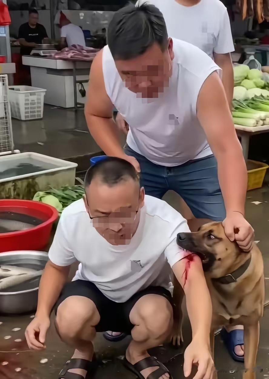 街市恶犬咬人，主人拒打狗救人，冷漠之举惹众怒！狗子咬人了狗主人还不愿打狗救人