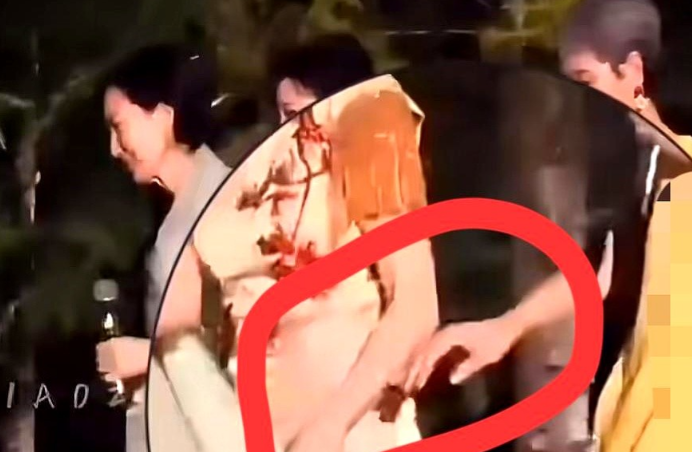 难怪叶童会退赛不知道大家注意到没有，在一次演出中，叶童多次牵赵雅芝的手，